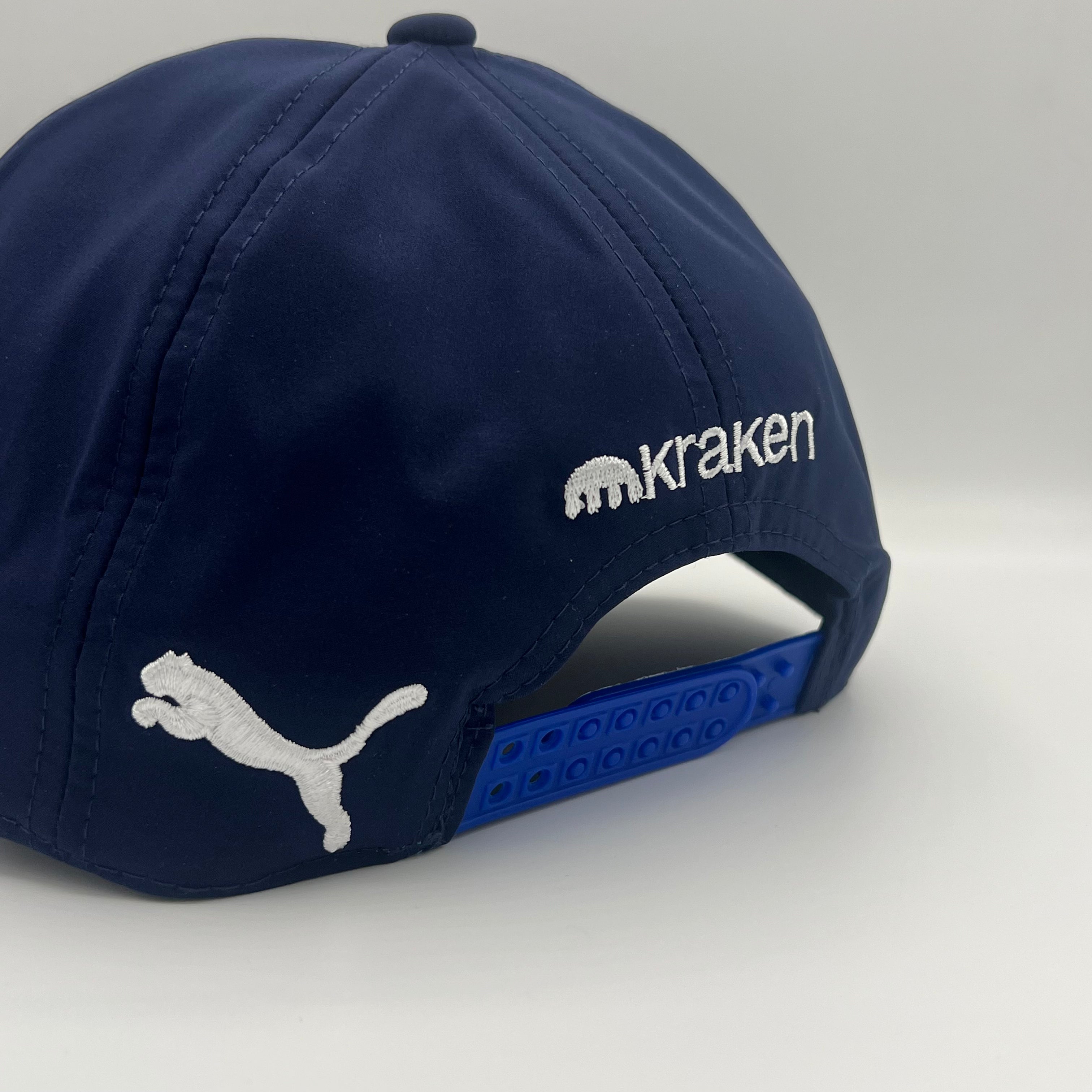 Williams 2025 Team Cap