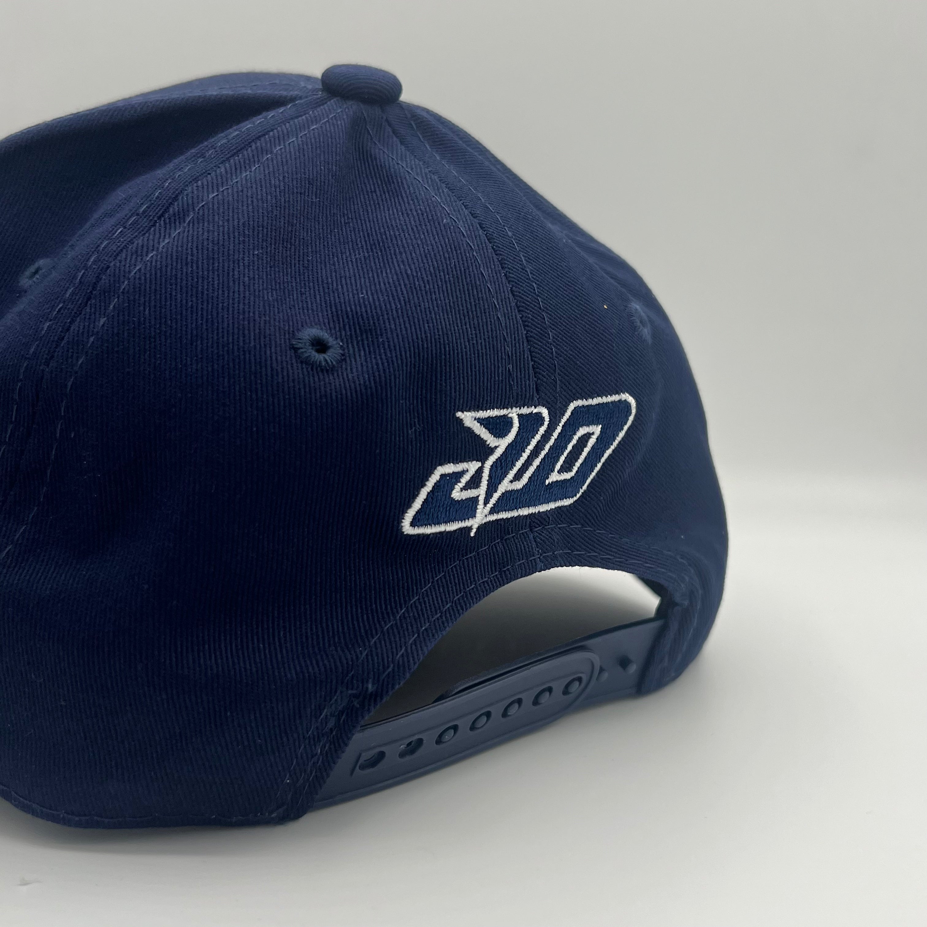 ALP 2025 Team Cap