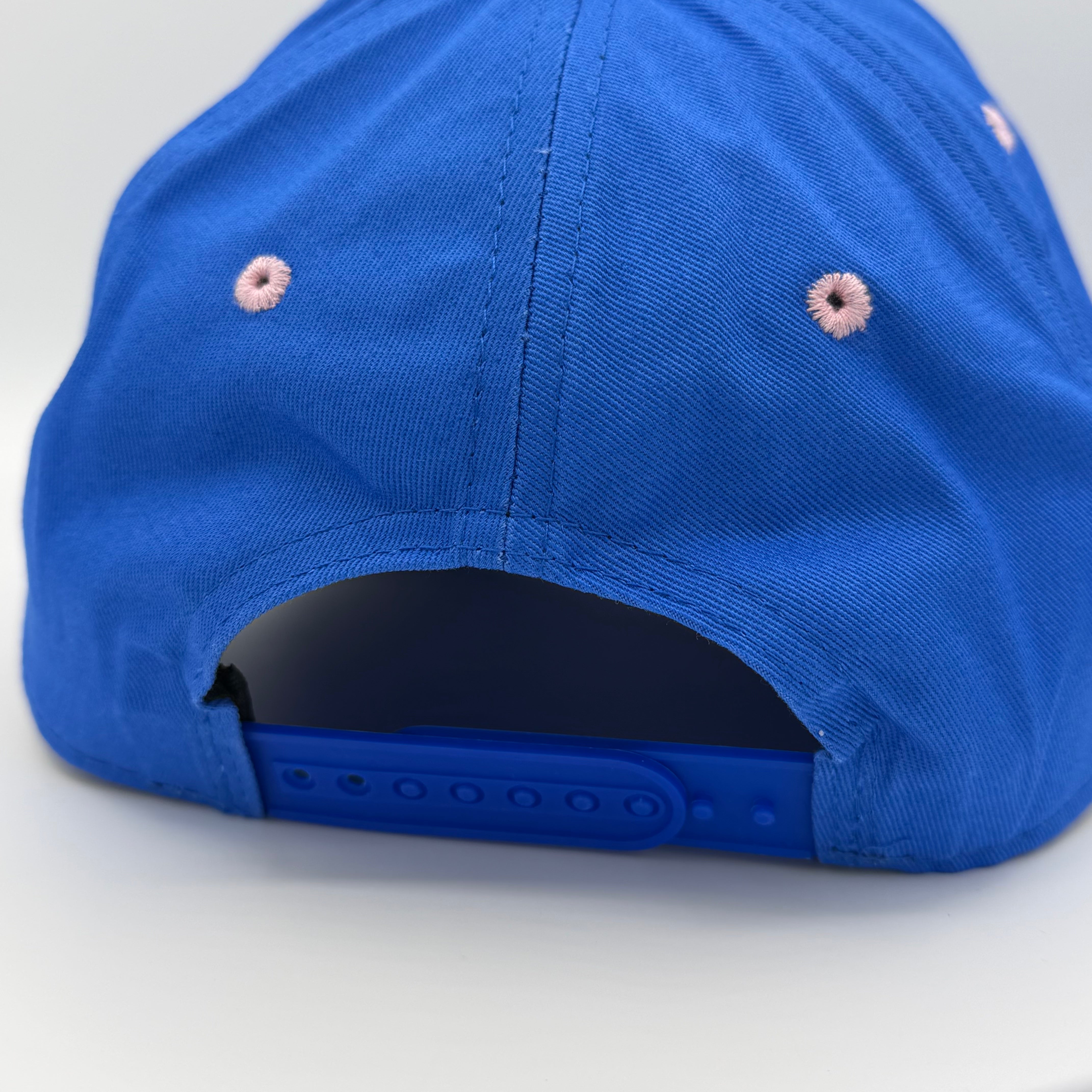ALP 2026 Team Cap